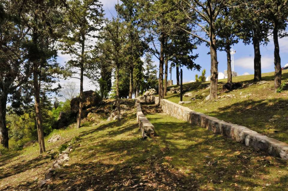 Naturaleza Tu Armonía