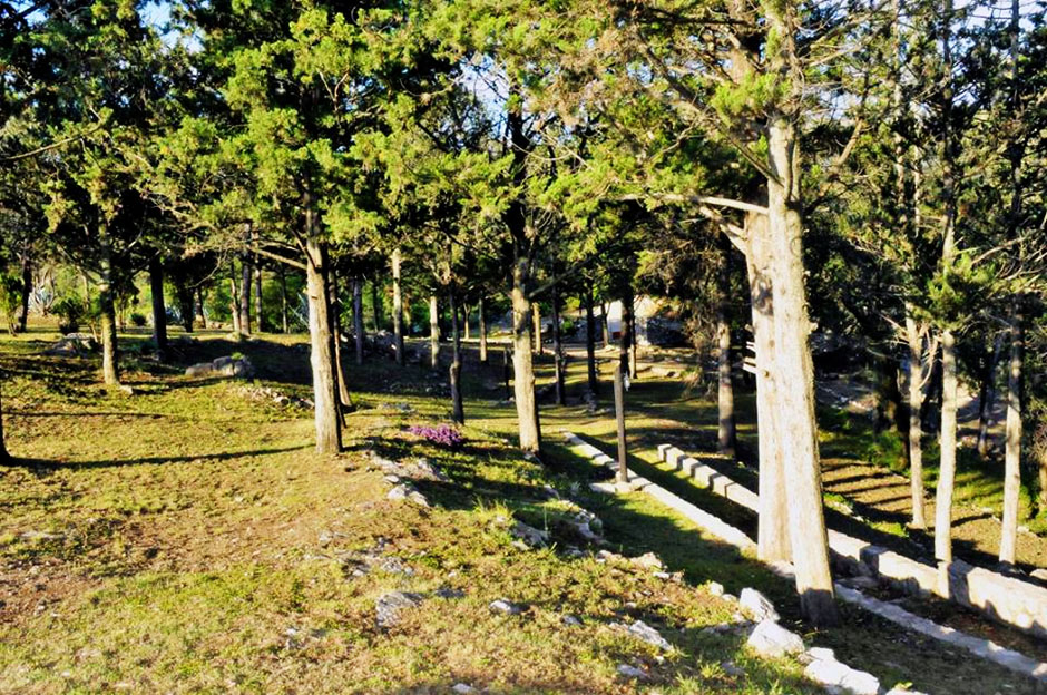 Naturaleza Tu Armonía