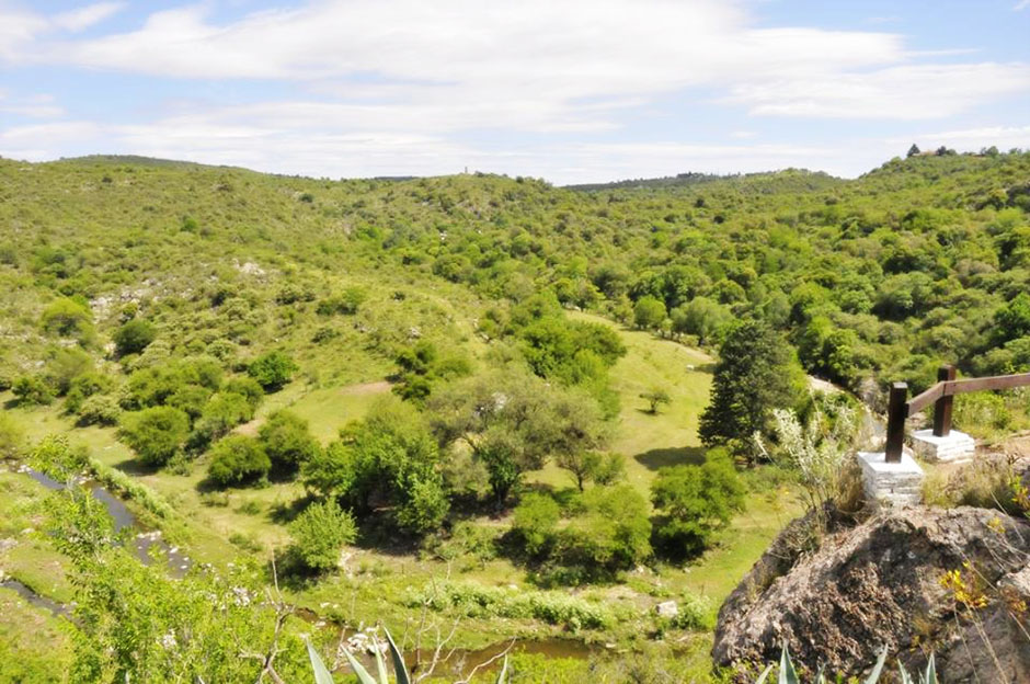 Naturaleza Tu Armonía