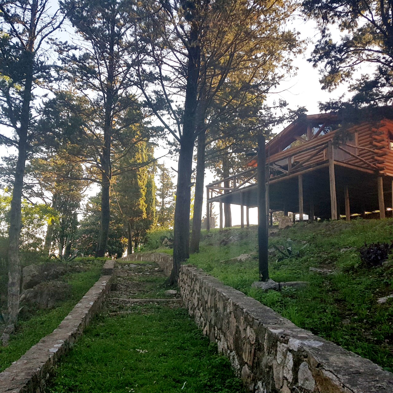 Naturaleza Tu Armonía